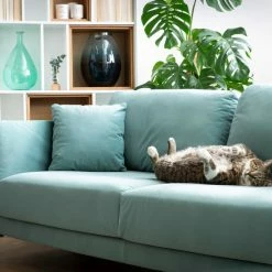 Canapé Scandinave 3 Places En Tissu Gris Clair Et Bois Clair VOGUE -Canapé Soldes canape scandinave 3 places en tissu gris clair et bois clair vogue 50012 60be23bcd1568 1200 675